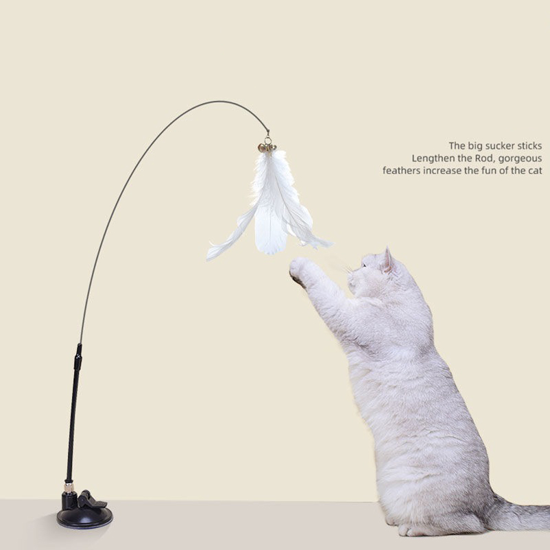 Pet Supplies Amazon - Tongkat penggoda kucing dengan daya hisap