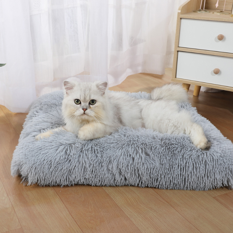Pet Supplies Amazon - Alas Tidur Anjing Baru dari Amazon,