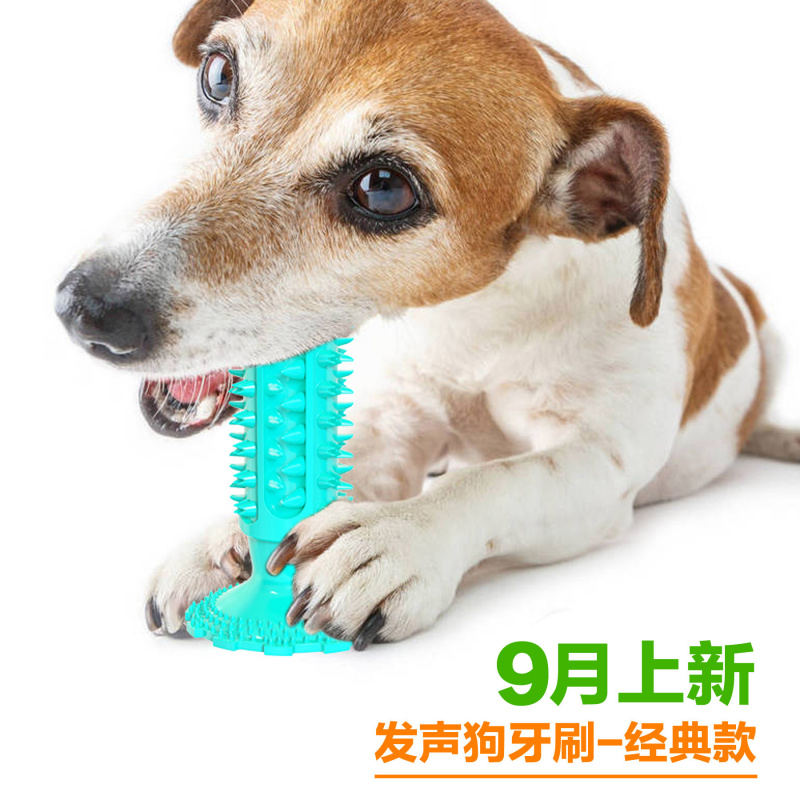 Mainan anjing dengan cangkir h - Pet Supplies Amazon ulasan dan harga