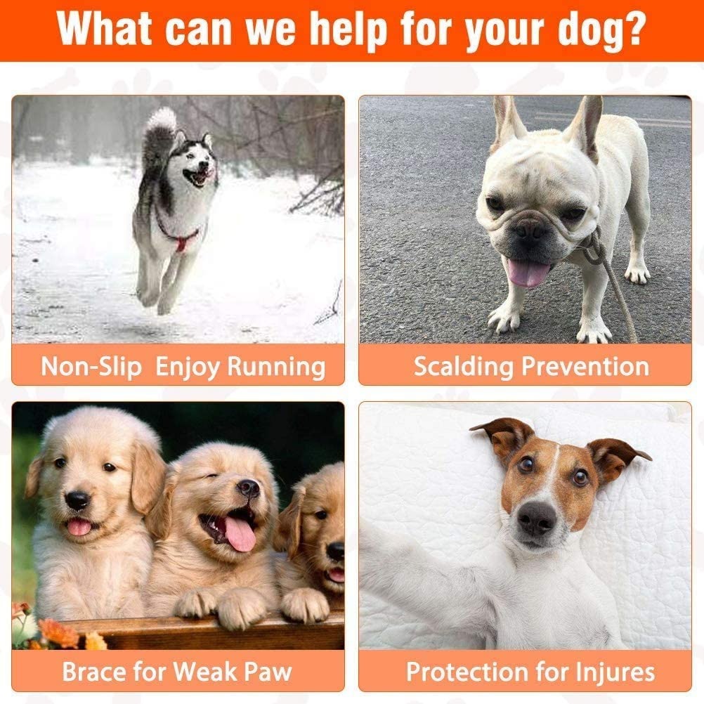 24 Buah Pegangan Anti-selip Pe - Dog Booties Paw Protector ulasan dan harga