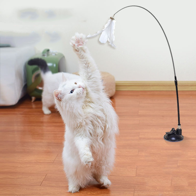 Tongkat penggoda kucing dengan - Pet Supplies Amazon ulasan dan harga