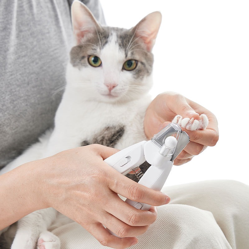 Mesin Pemotong Rambut PETKIT A - Pet Supplies Grooming Hours ulasan dan harga