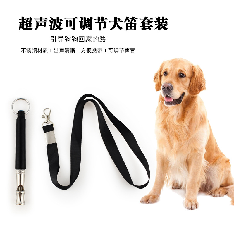 Amazon langsung memasok perlen - Pet Supplies Amazon ulasan dan harga
