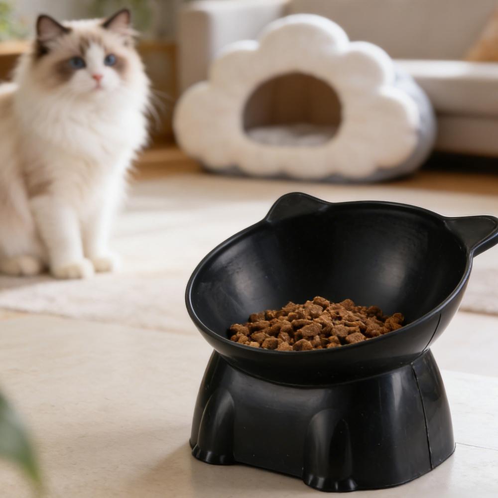 Mangkuk Kucing Hitam Amazon Ma - Pet Supplies Amazon ulasan dan harga