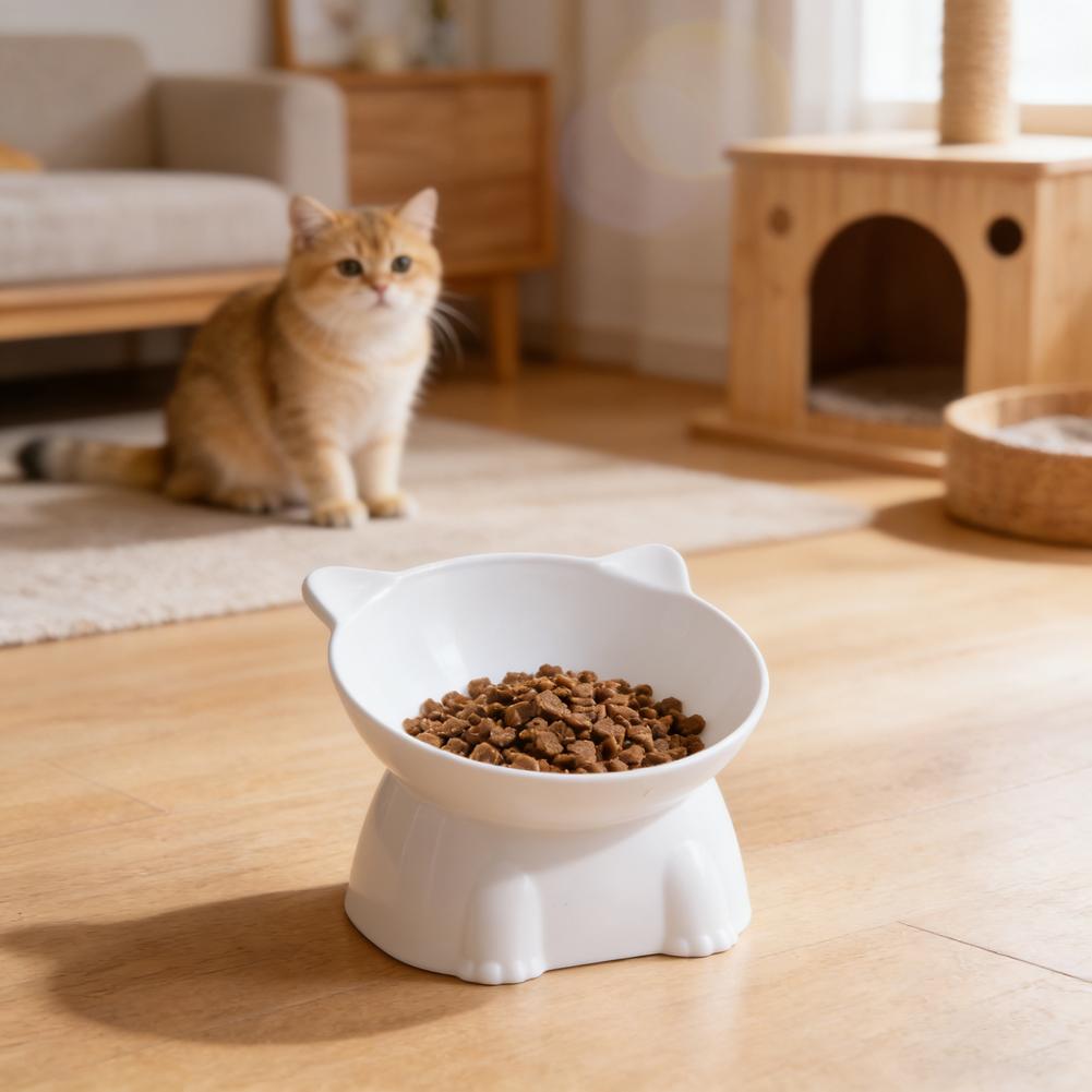 Mangkuk Kucing Hitam Amazon Ma - Pet Supplies Amazon ulasan dan harga
