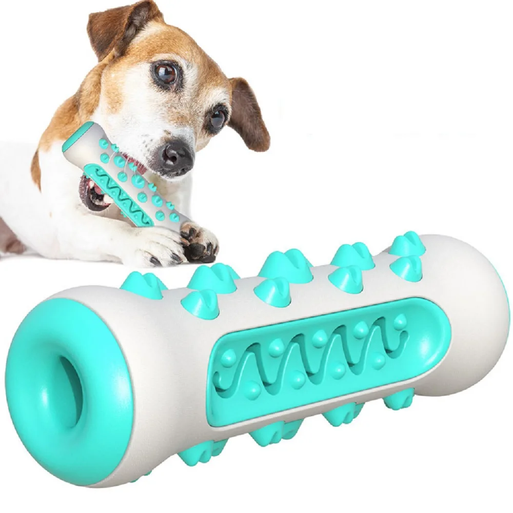 Persediaan Hewan Peliharaan Ma - Pet Supplies Amazon ulasan dan harga
