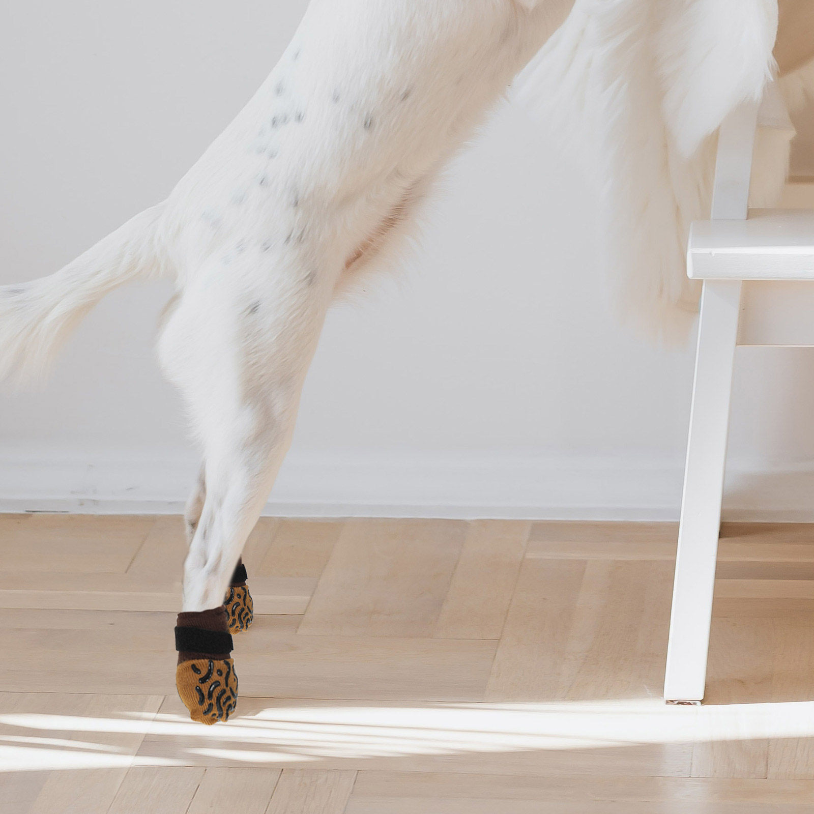 4Pcs Kaos Kaki Anjing Anti Sel - Dog Booties Paw Protector ulasan dan harga