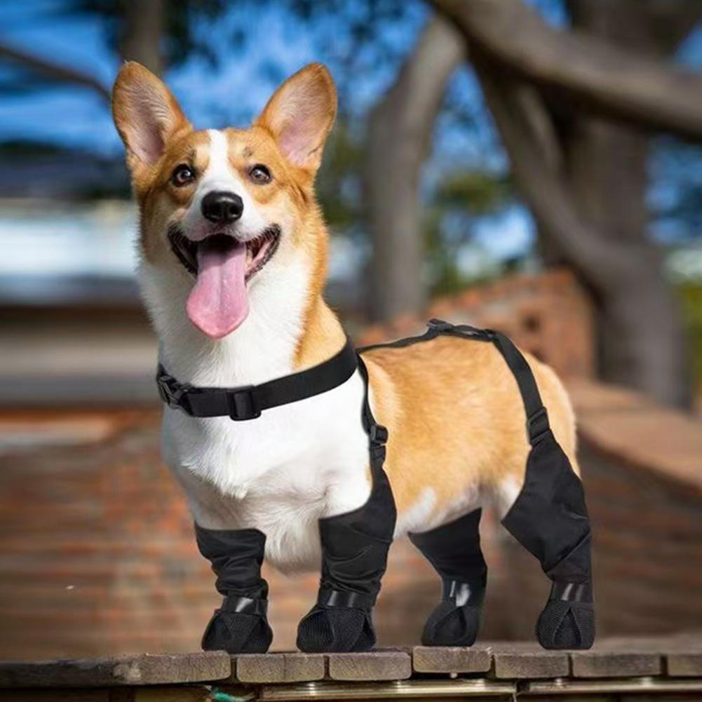 Sepatu Hujan Anjing dengan Tal - Dog Booties Paw Protector ulasan dan harga