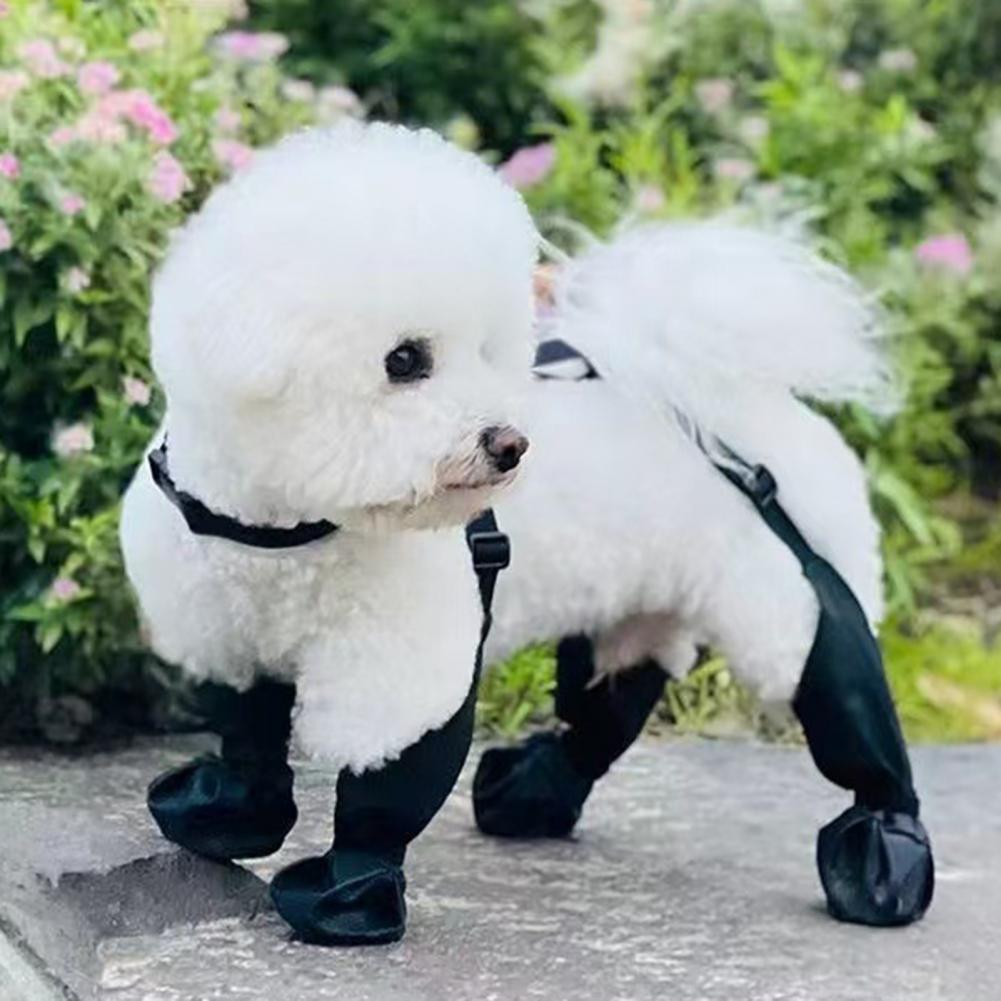 Sepatu Hujan Anjing dengan Tal - Dog Booties Paw Protector ulasan dan harga