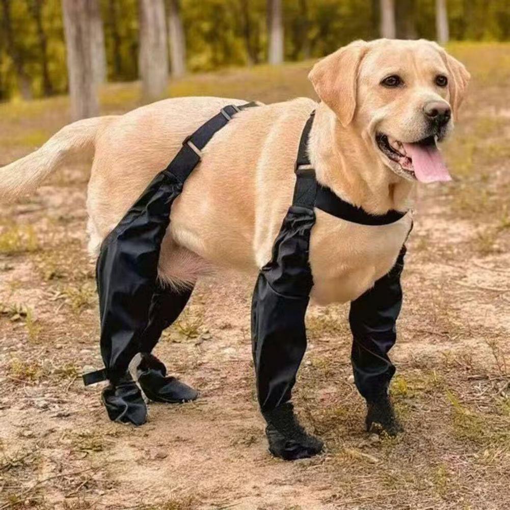 Sepatu Hujan Anjing dengan Tal - Dog Booties Paw Protector ulasan dan harga