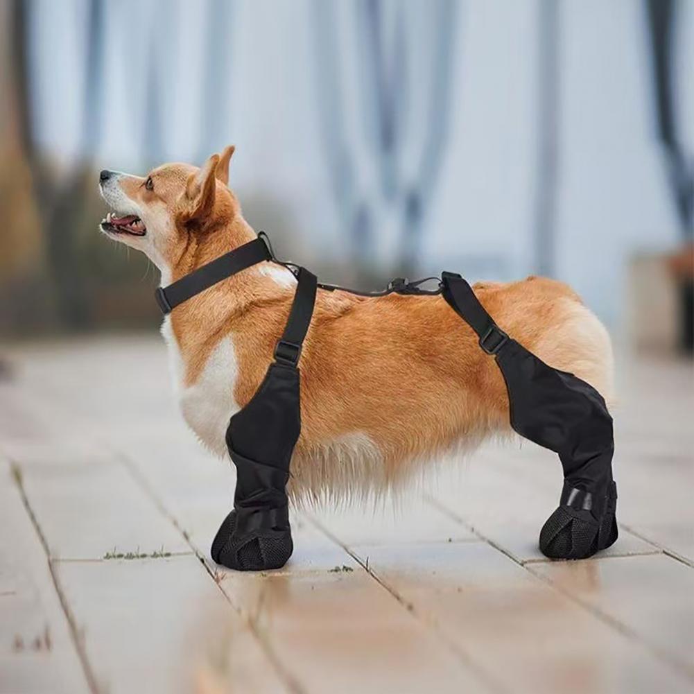Sepatu Hujan Anjing dengan Tal - Dog Booties Paw Protector ulasan dan harga